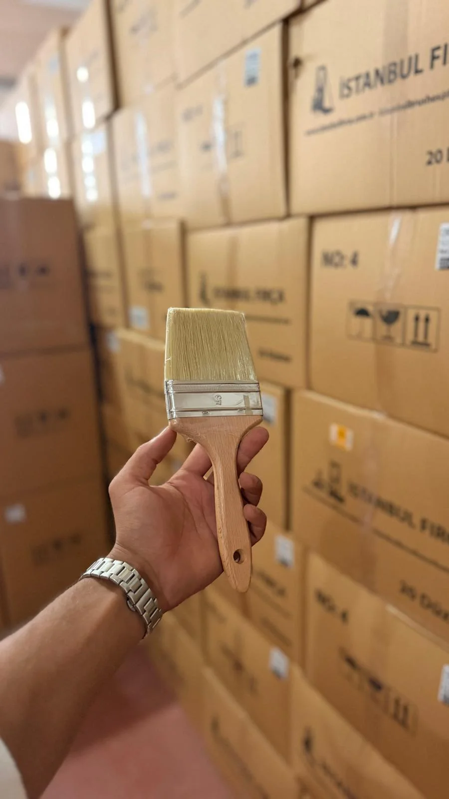 Spatula ve Ispatulalar